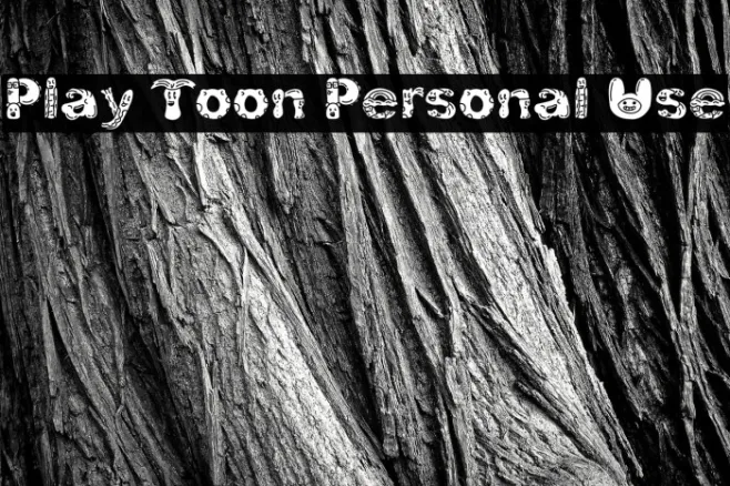 Play Toon Personal Use Example 2