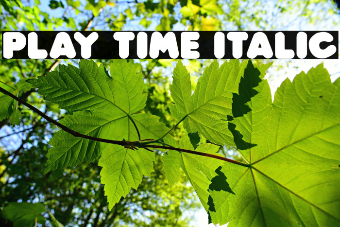 Play time Italic Polices examples