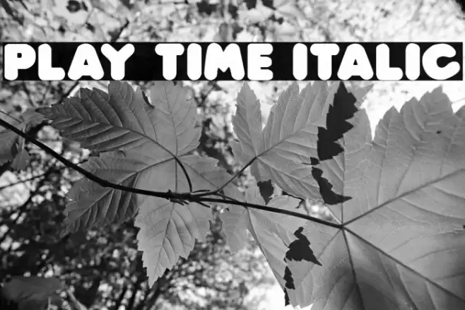 Play time Italic Font examples