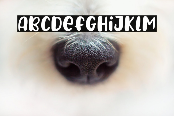 PlayCheerful Example 1