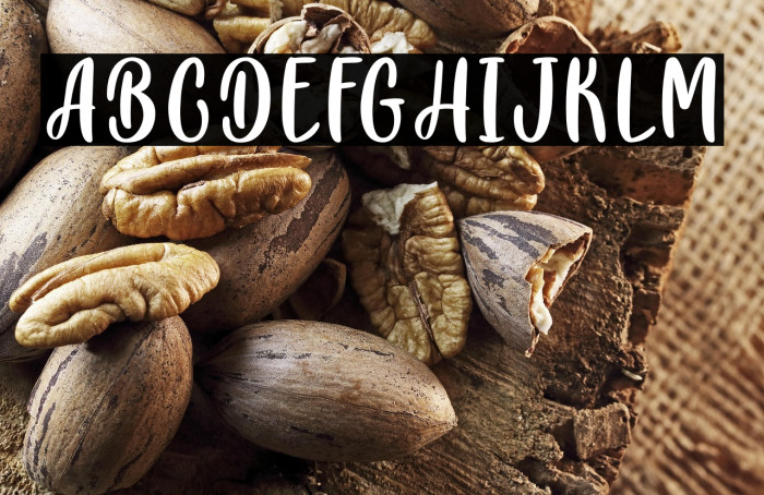 PlayDay-PersonalUse Example 1