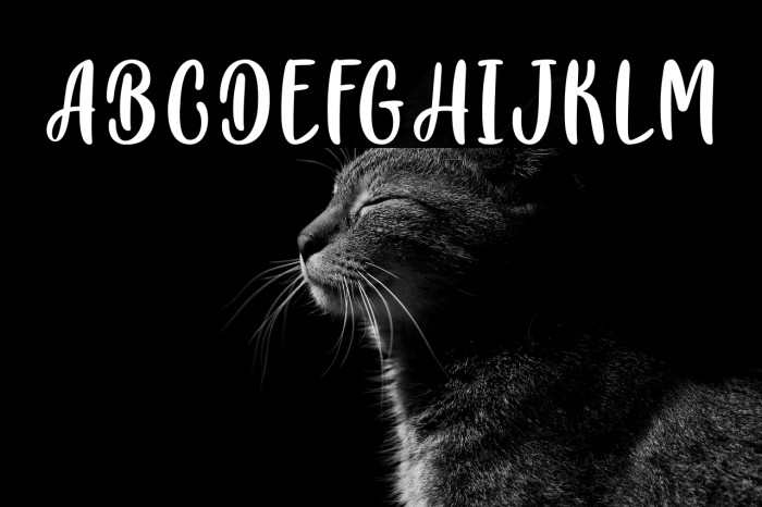 PlayDay-PersonalUse Example 2