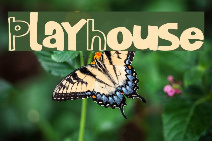 PlayHouse Font examples
