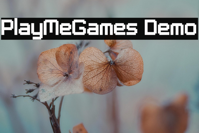 PlayMeGames Demo Example 2