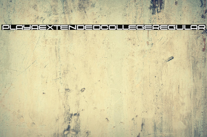 Playa Extended College Regular Example 3