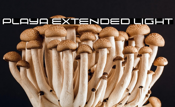 Playa Extended Light Example 2