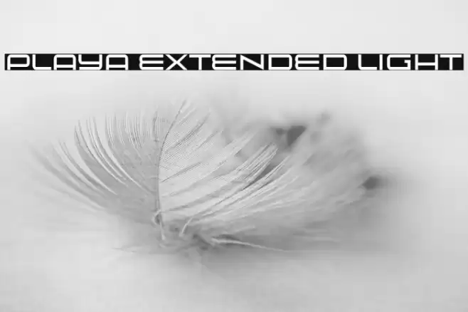 Playa Extended Light Font examples