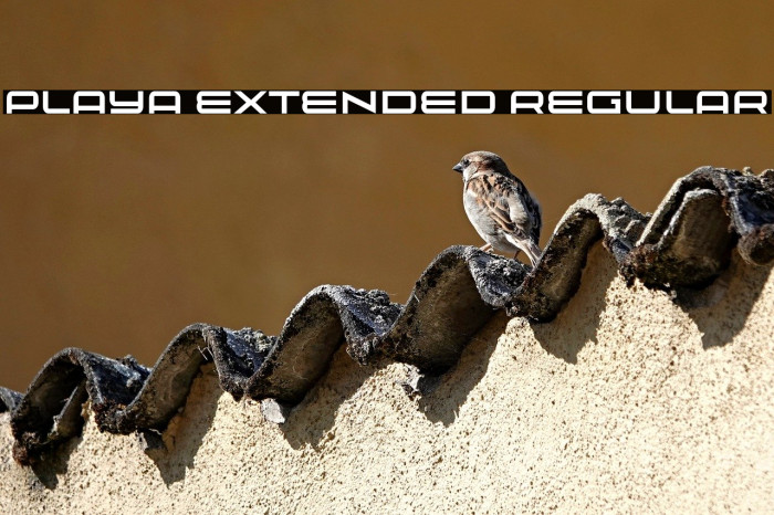 Playa Extended Regular Example 1