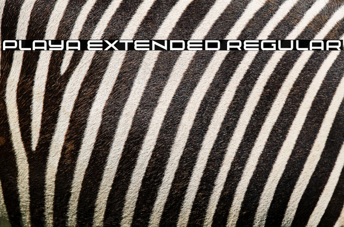 Playa Extended Regular Example 3