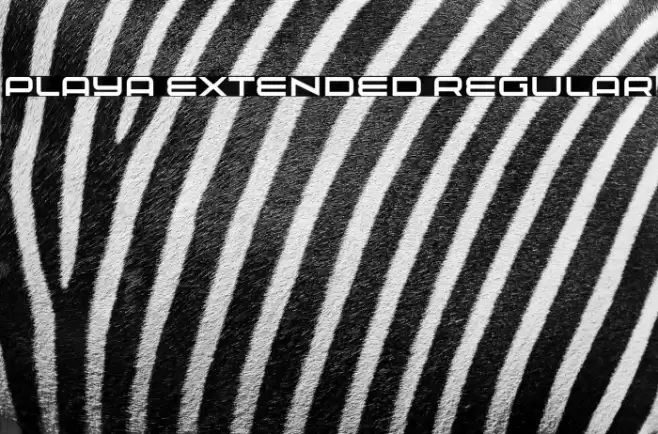 Playa Extended Regular Font examples