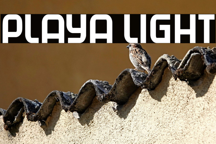 Playa Light Example 1