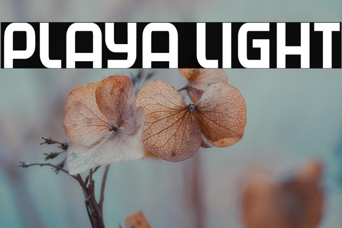 Playa Light Example 3