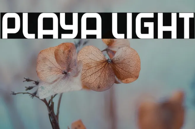 Playa Light Example 3