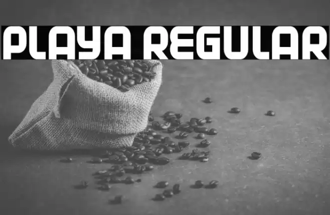 Playa Regular Font examples