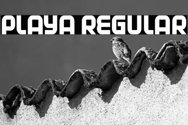 Playa Regular Font examples