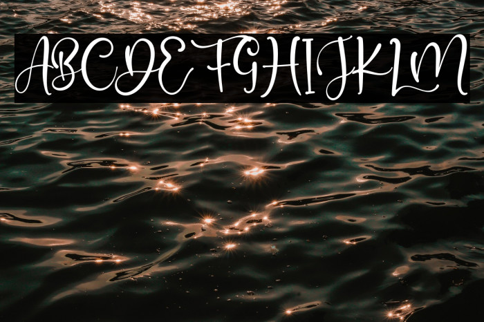 PlayaDelAmor Example 1