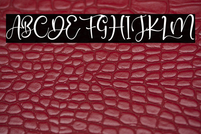 PlayaDelAmor Example 2