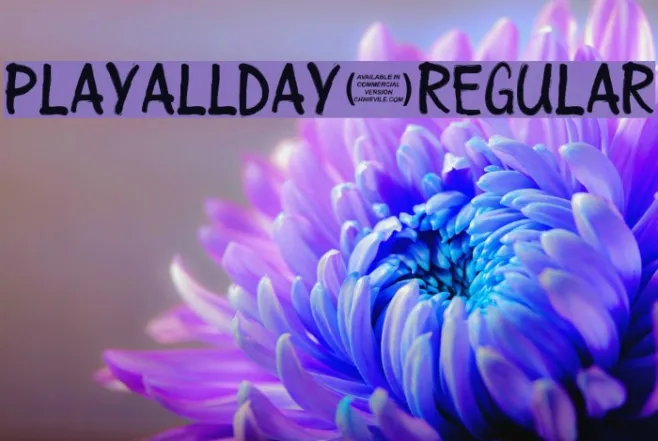 Playallday-Regular Example 1