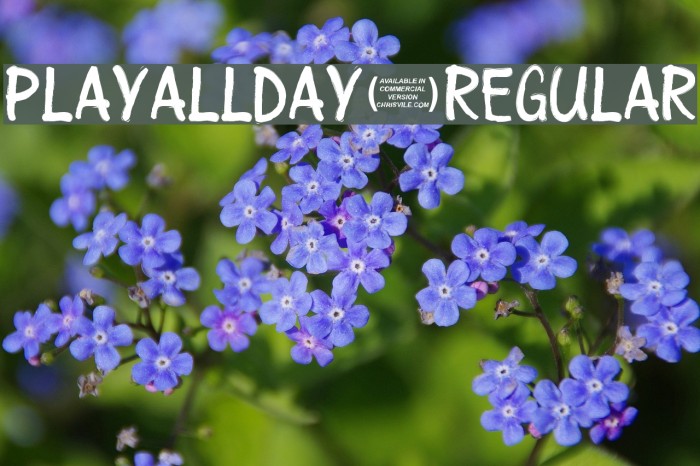 Playallday-Regular Example 2