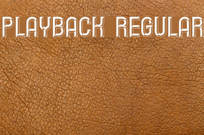 Playback Regular Font examples