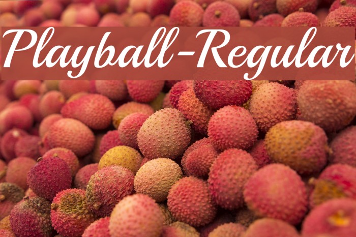 Playball-Regular Font examples