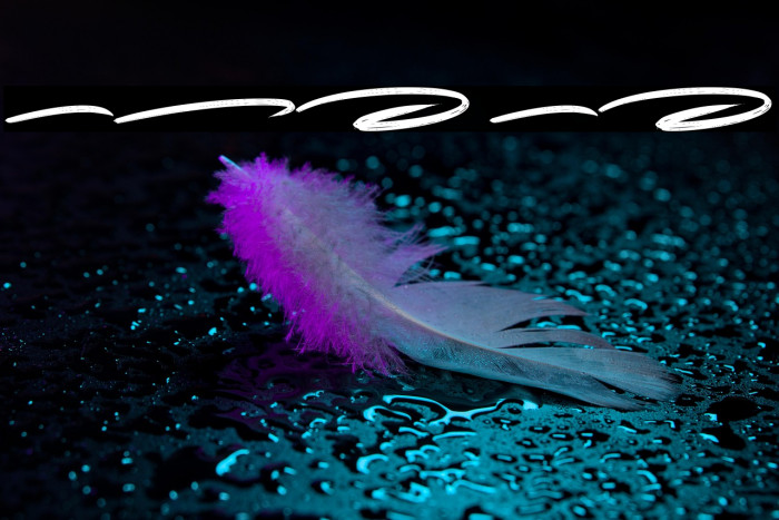 Playbrush Swash Example 1