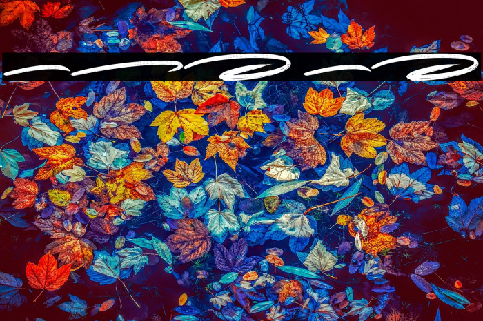 Playbrush Swash Example 3