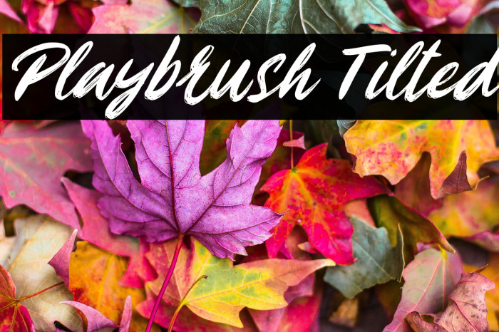 Playbrush Tilted Example 2