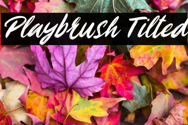 Playbrush Tilted Example 2