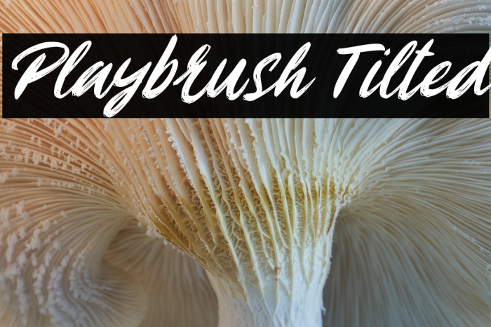 Playbrush Tilted Example 3