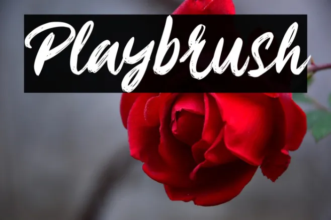 Playbrush Example 2