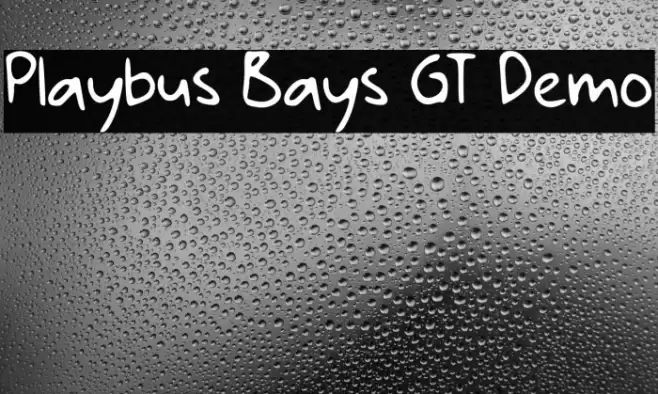 Playbus Bays GT Demo Font examples