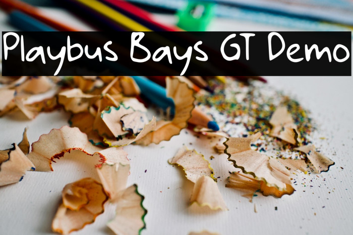 Playbus Bays GT Demo Example 2