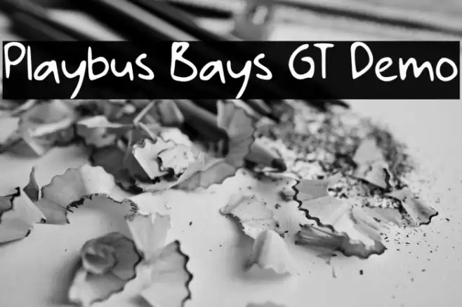 Playbus Bays GT Demo Font examples