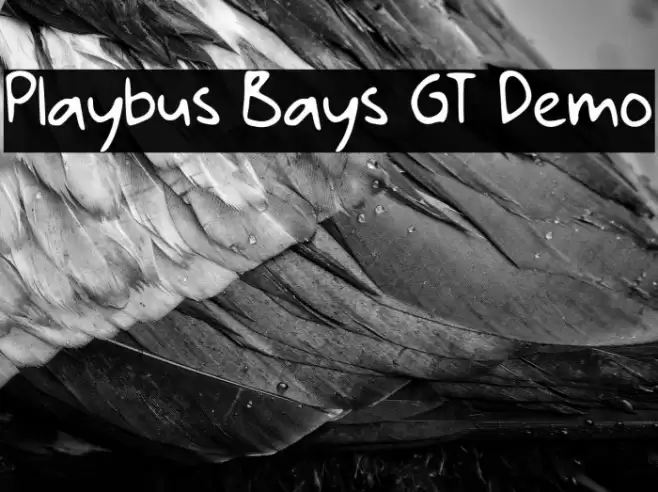 Playbus Bays GT Demo Font examples