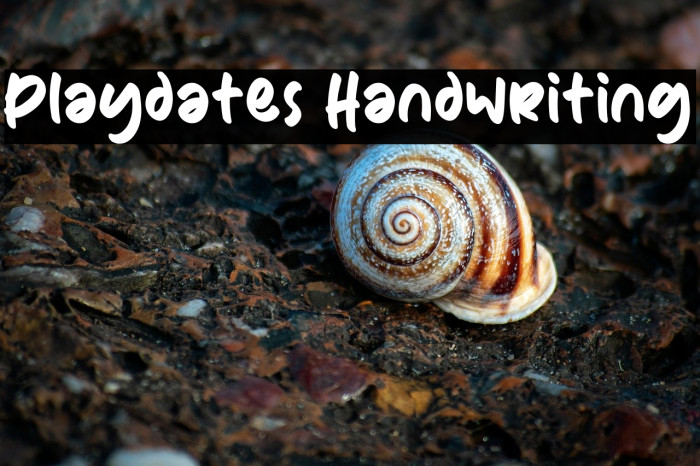 Playdates Handwriting Example 2