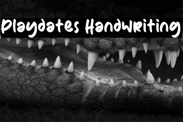 Playdates Handwriting Example 3