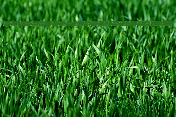 Player 1 Up Gradient Italic Example 1