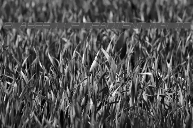 Player 1 Up Gradient Italic Font examples