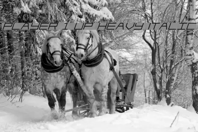 Player 1 Up Heavy Italic Font examples