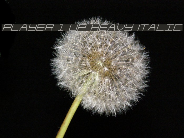 Player 1 Up Heavy Italic Example 2