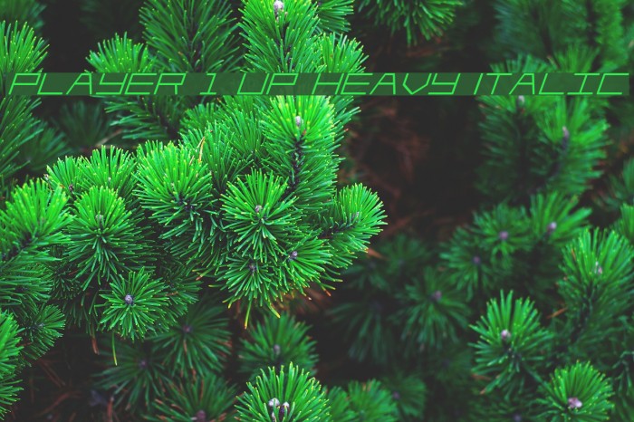 Player 1 Up Heavy Italic Example 3