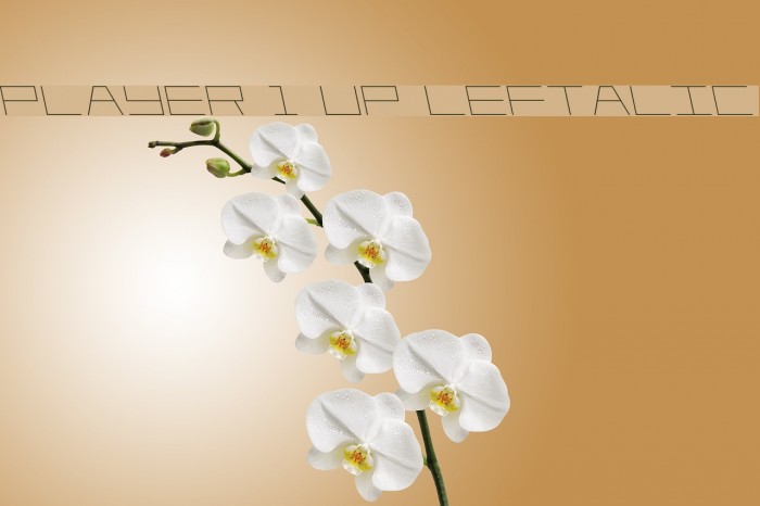 Player 1 Up Leftalic Font examples