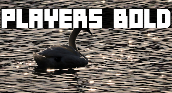 Players Bold Example 1