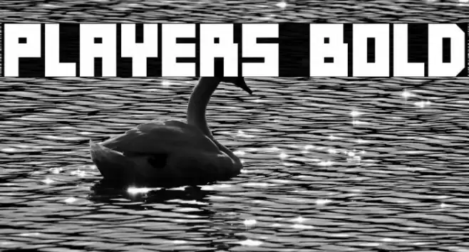 Players Bold Font examples