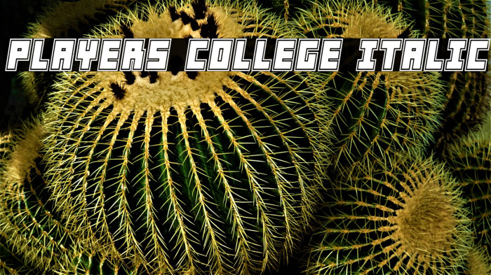 Players College Italic Example 1
