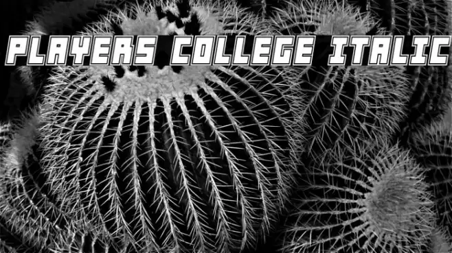 Players College Italic Font examples