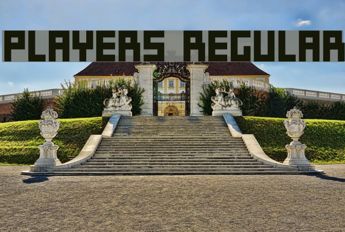 Players Regular Example 2