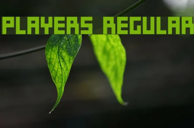 Players Regular Example 3