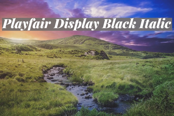 Playfair Display Black Italic フォント examples